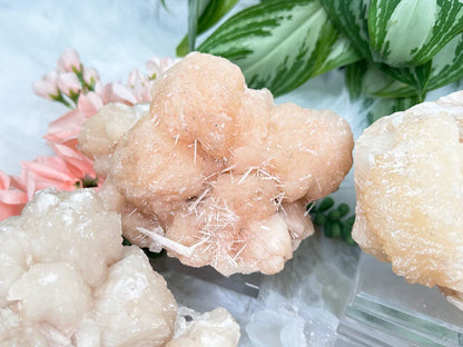 Peach Stilbite Clusters