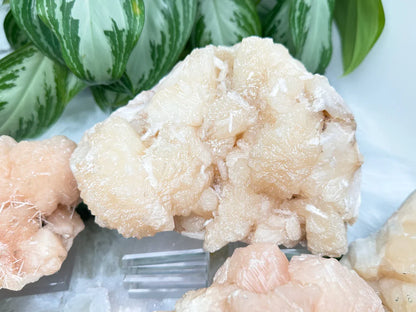 Peach Stilbite Clusters