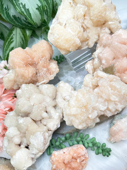 Peach Stilbite Clusters