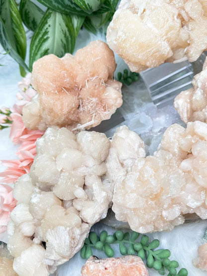 Peach Stilbite Clusters