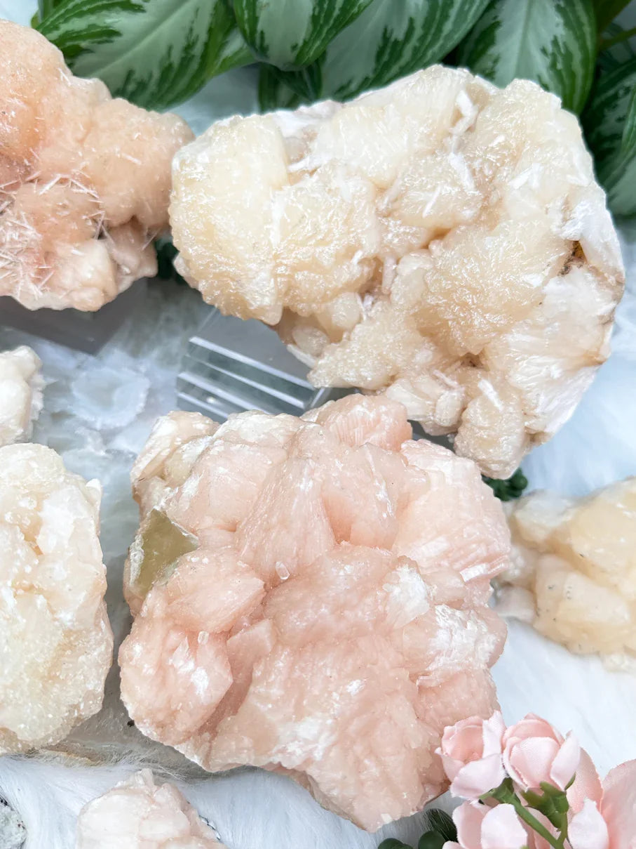Peach Stilbite Clusters