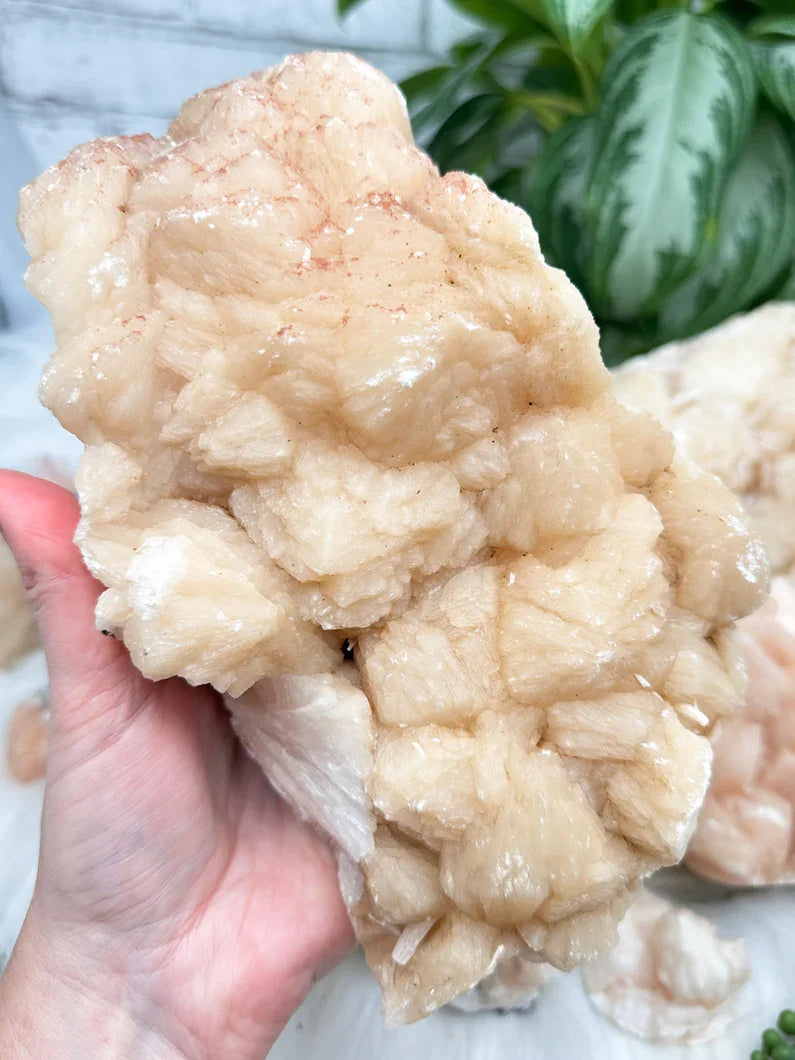 Peach Stilbite Clusters