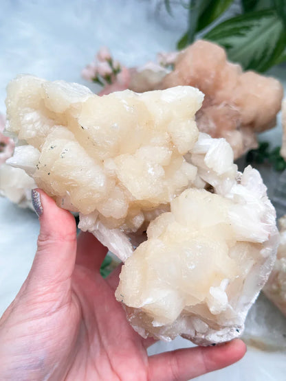 Peach Stilbite Clusters