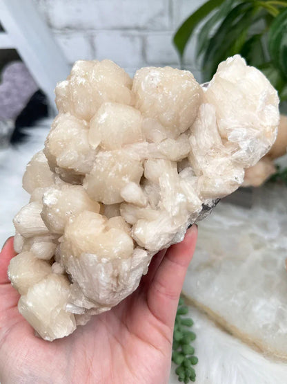 Peach Stilbite Clusters