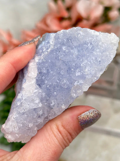 Blue Holly Agate Clusters