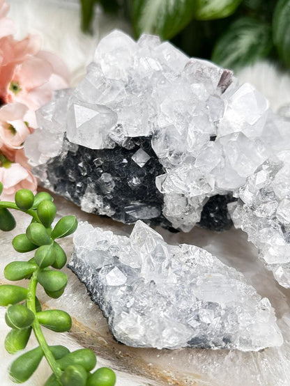 Higher End Apophyllite