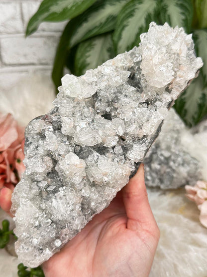 Higher End Apophyllite