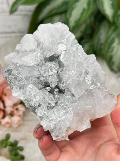Higher End Apophyllite