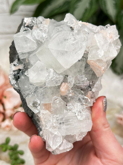 Higher End Apophyllite