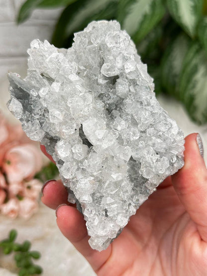 Higher End Apophyllite
