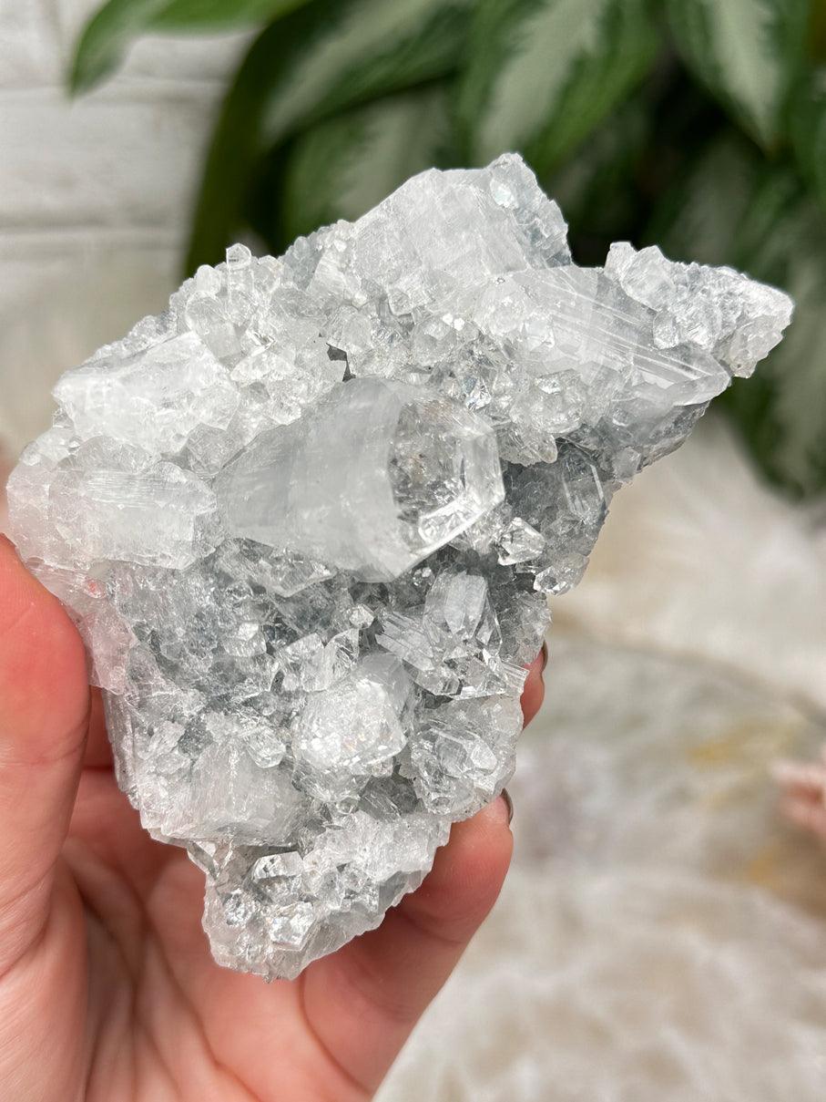 Higher End Apophyllite