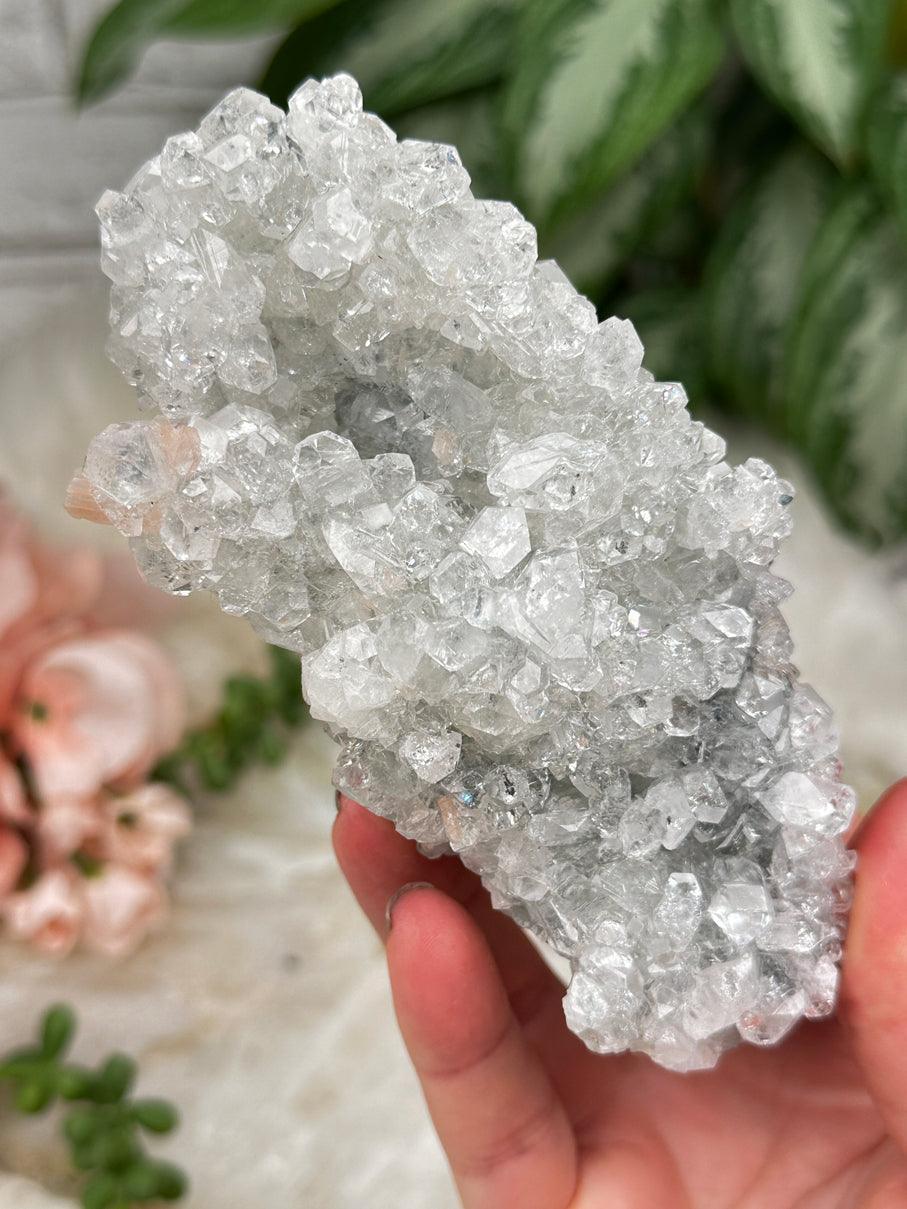 Higher End Apophyllite