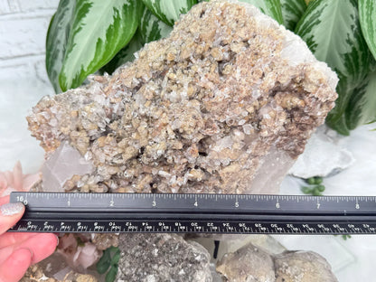 tan-lodolite-quartz-crystal-cluster