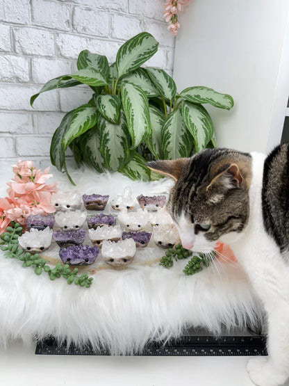 Quartz & Amethyst Hedgehogs