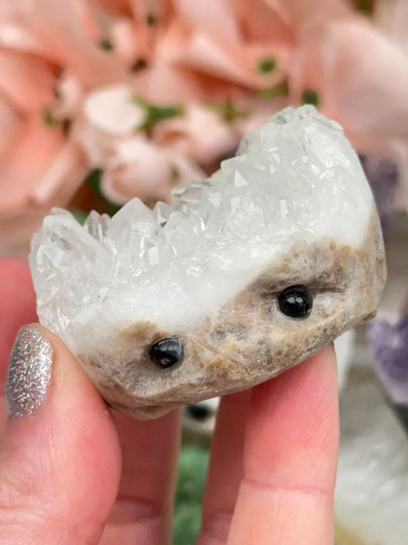 purple-amethyst-hedgehog