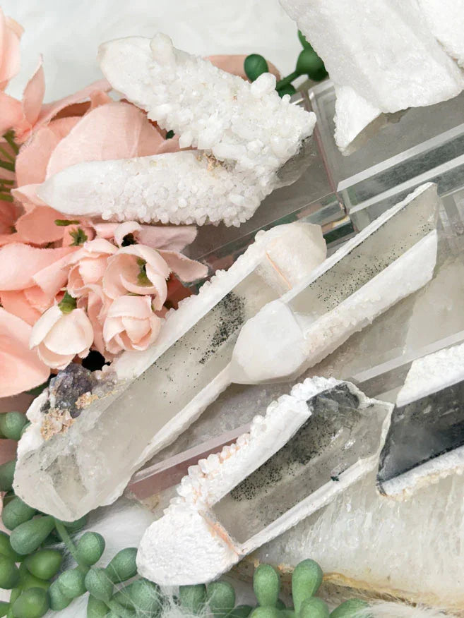 Inner Mongolia Wands