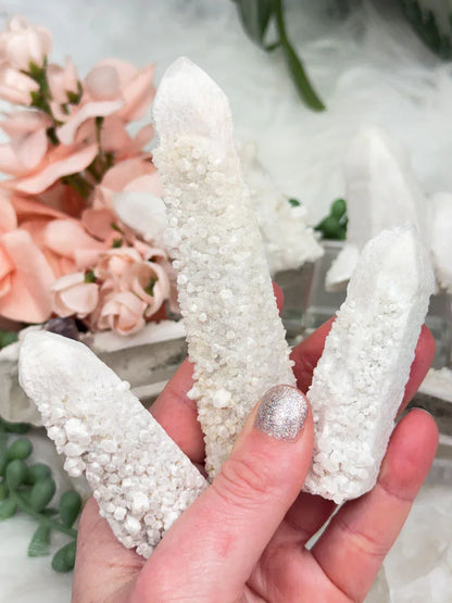 Inner Mongolia Wands