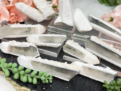 Inner Mongolia Wands