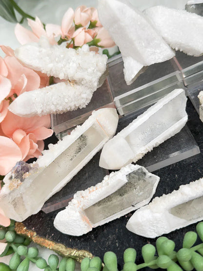 Inner Mongolia Wands