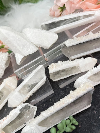 Inner Mongolia Wands