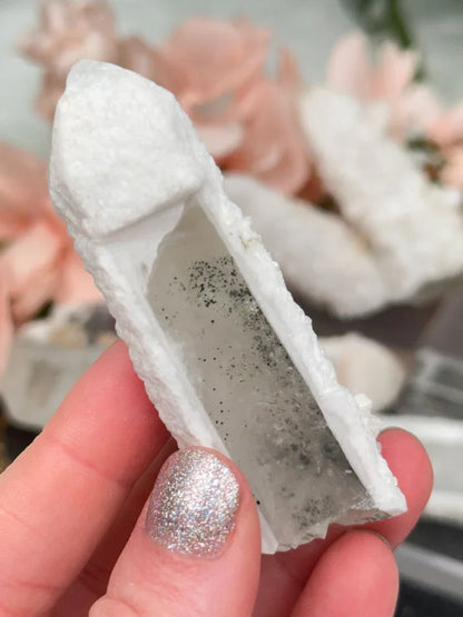 Inner Mongolia Wands