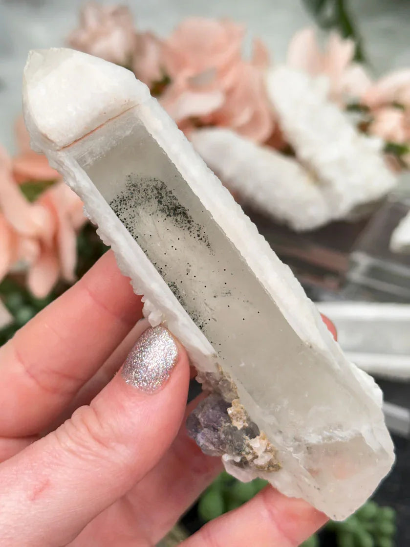 Inner Mongolia Wands