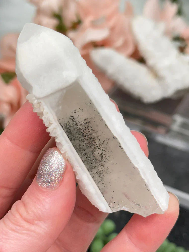 Inner Mongolia Wands