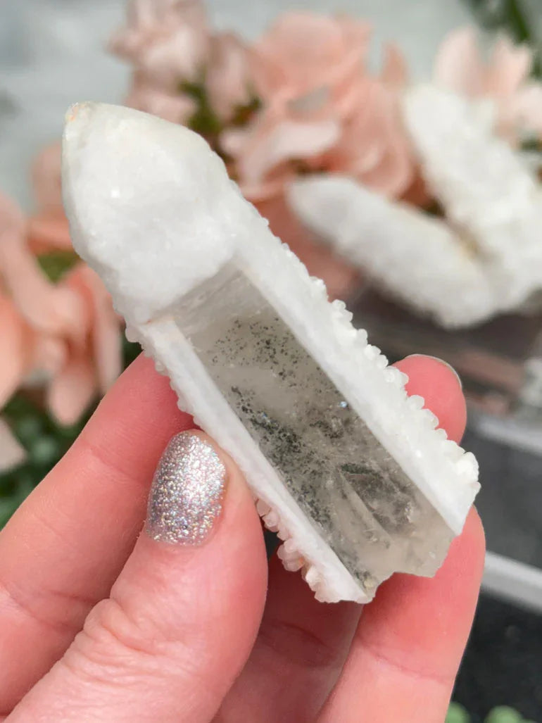 Inner Mongolia Wands