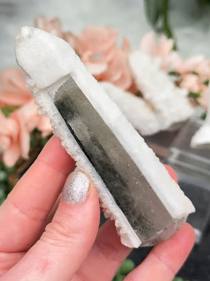 Inner Mongolia Wands