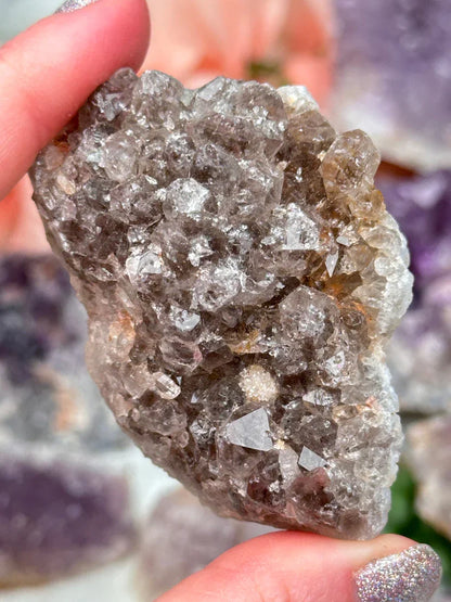 Indian Amethyst