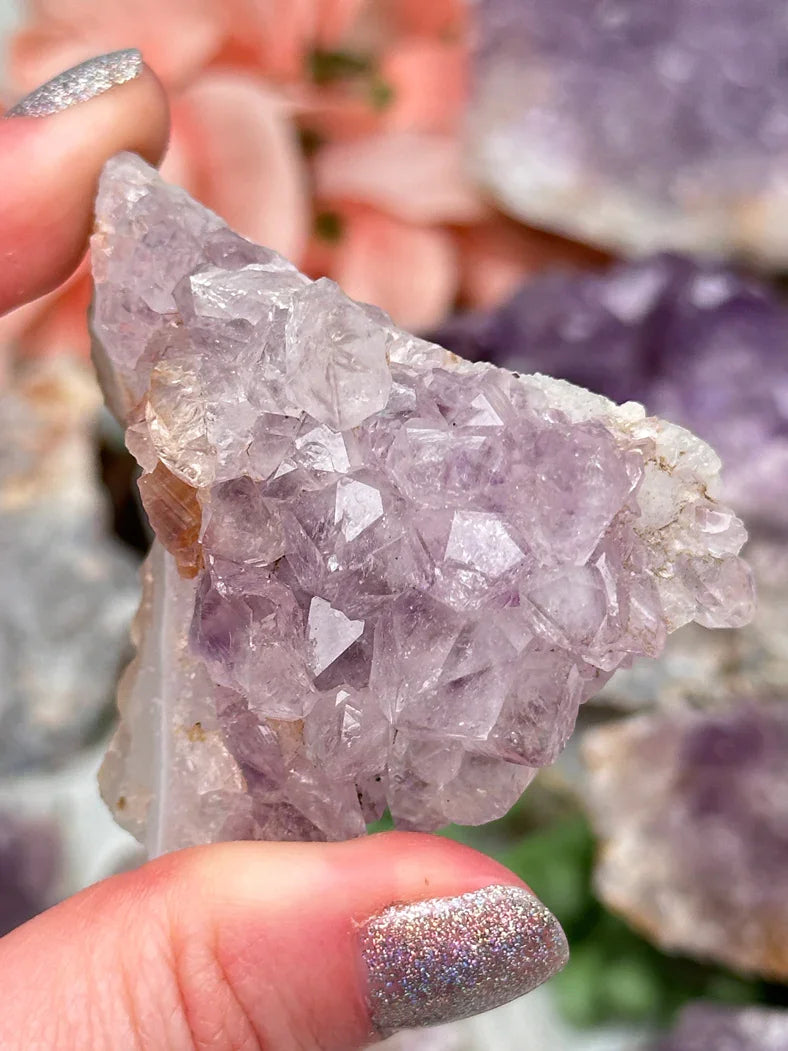 Indian Amethyst