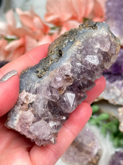 Indian Amethyst