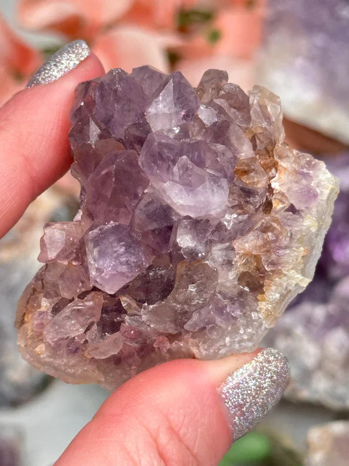Indian Amethyst