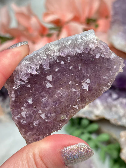 Indian Amethyst