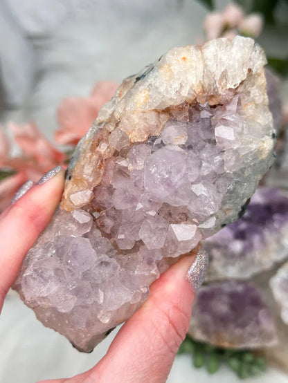 Indian Amethyst