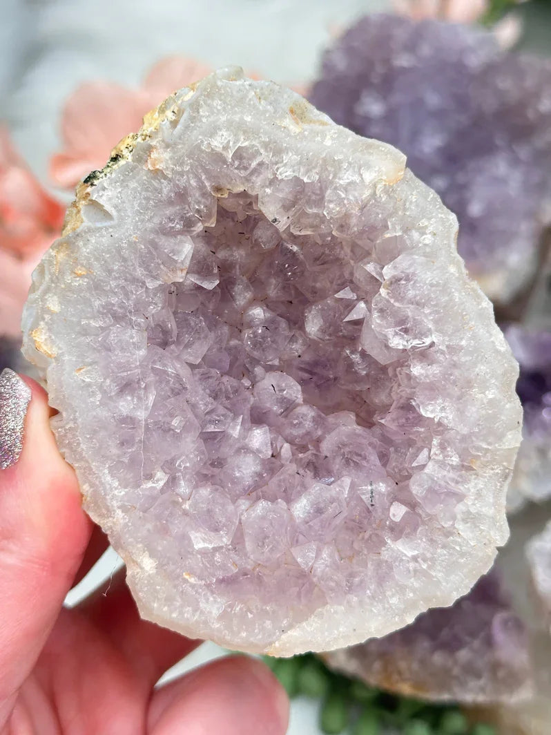Indian Amethyst