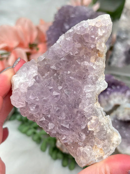 Indian Amethyst