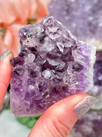 Indian Amethyst