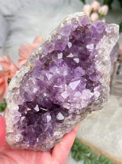 Indian Amethyst