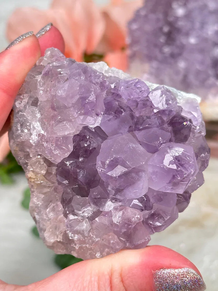 Indian Amethyst