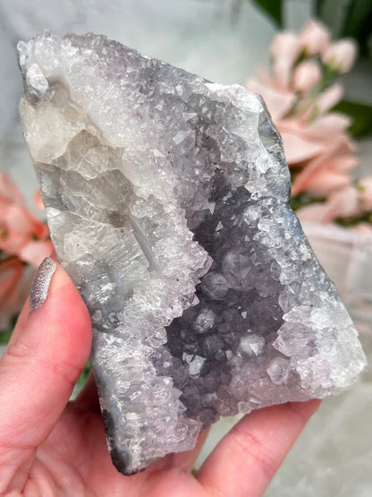 Indian Amethyst