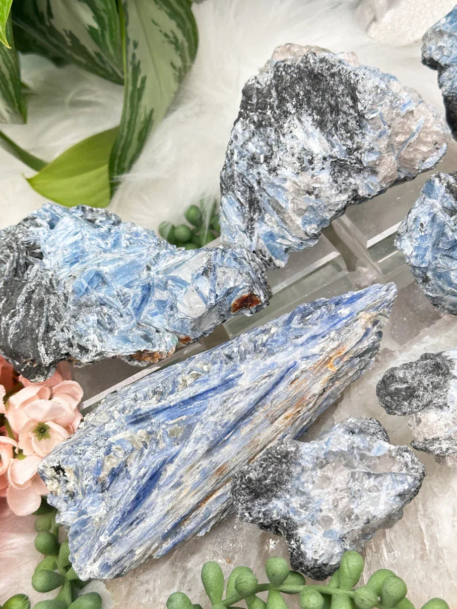 Raw Black & Blue Kyanite