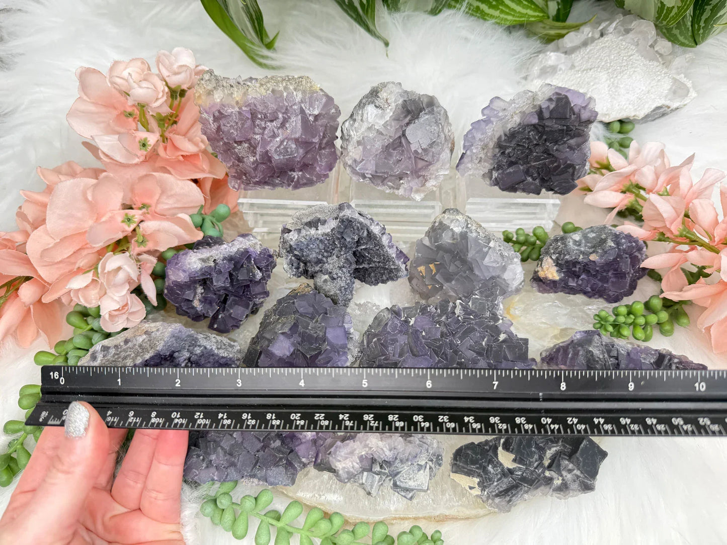 Chinese Purple Fluorite Clusters
