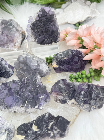 Chinese Purple Fluorite Clusters
