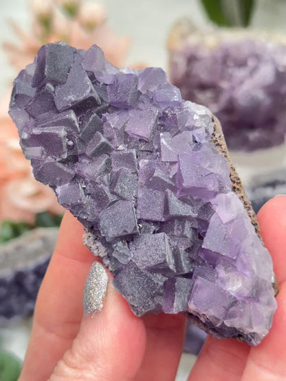 Chinese Purple Fluorite Clusters