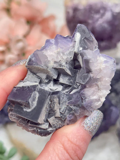 Chinese Purple Fluorite Clusters