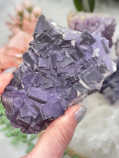 Chinese Purple Fluorite Clusters