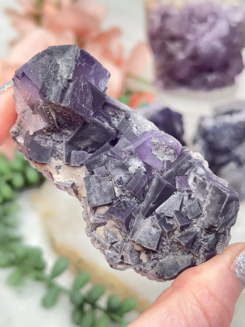 Chinese Purple Fluorite Clusters