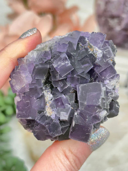 Chinese Purple Fluorite Clusters