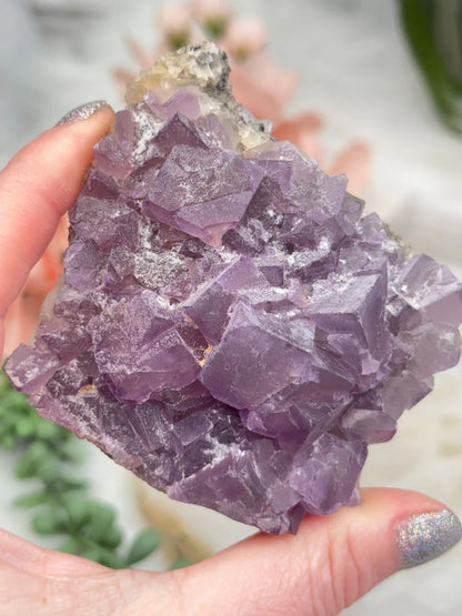 Chinese Purple Fluorite Clusters